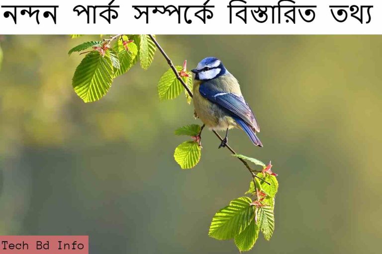 নন্দন পার্ক সম্পর্কে বিস্তারিত তথ্য।