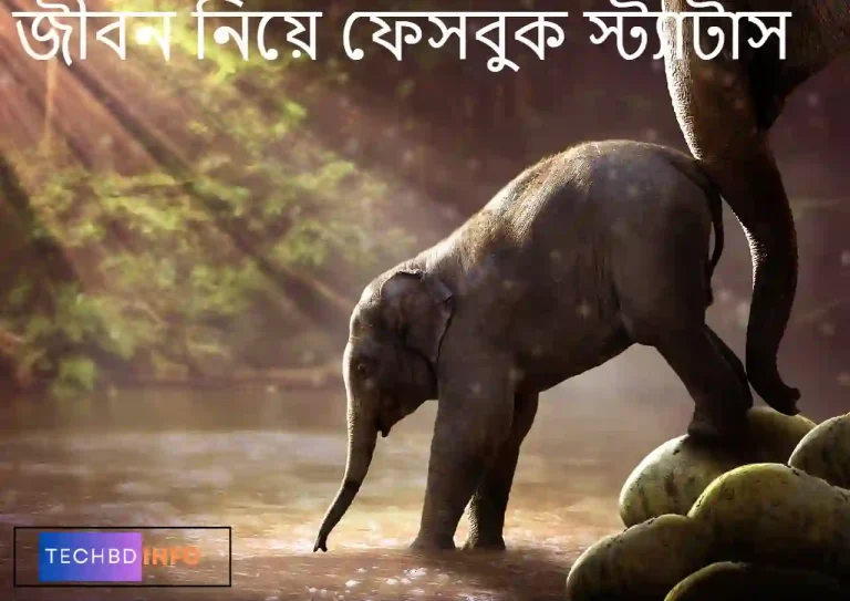 জীবন নিয়ে ফেসবুক স্ট্যাটাস