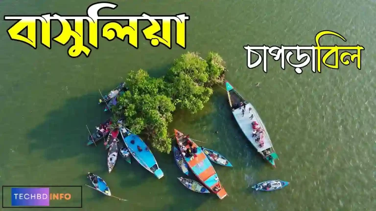দর্শনীয় স্থান বাসুলিয়া