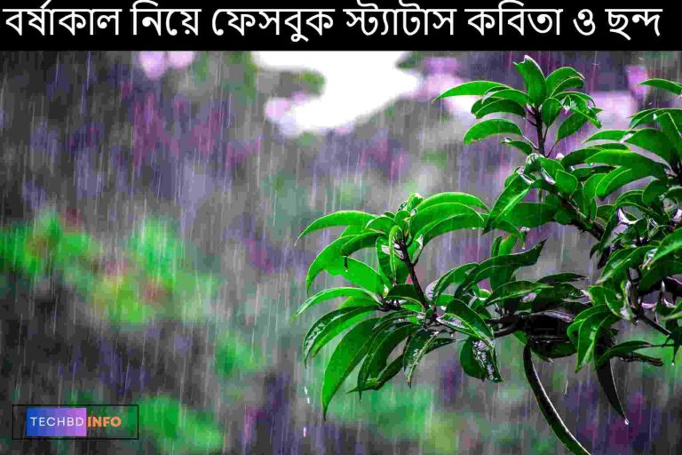 বর্ষাকাল নিয়ে ফেসবুক স্ট্যাটাস কবিতা ও ছন্দ